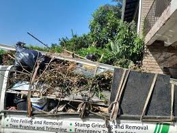 Best Residential Junk Removal  in Brookwood, AL